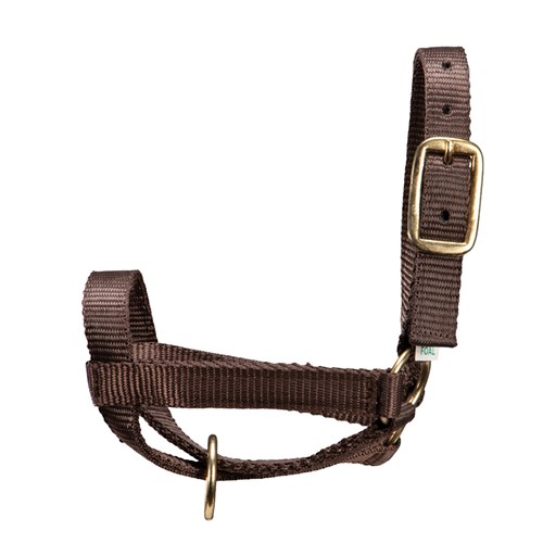 CAT1550 BR-01